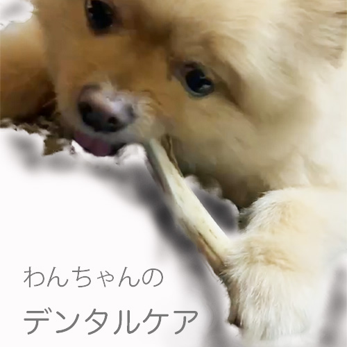 ミルク
